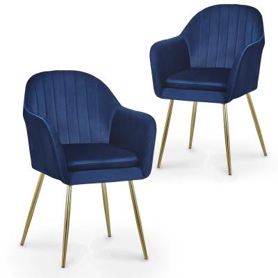 Lot de 2 chaises design avec accoudoirs en velours bleu