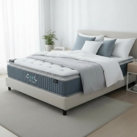 Matelas m&eacute;moire de forme et ressorts ensach&eacute;s 160x200 cm &eacute;paisseur 31 cm
