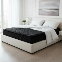 Matelas m&eacute;moire de forme et ressorts ensach&eacute;s 160x200 cm &eacute;paisseur 33 cm