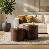 Lot de 2 tables basses couleur bois fonc&eacute;