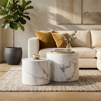 Lot de 2 tables basses couleur marbre blanc